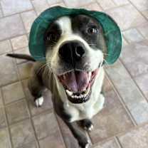 Thumbnail photo of Buddy #2