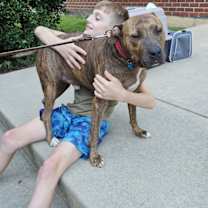 Thumbnail photo of Patch #2