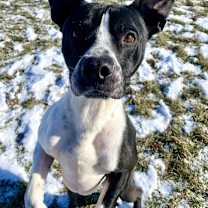 Thumbnail photo of Will #1