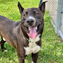 Thumbnail photo of Bernie #1