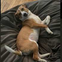 Thumbnail photo of Maggie #4