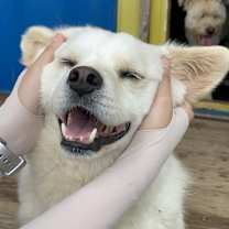 Thumbnail photo of Sunho #1