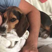 Thumbnail photo of Zoey #3