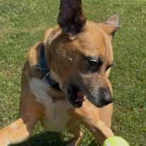 Thumbnail photo of Perry #2