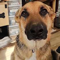 Thumbnail photo of Bunker #1