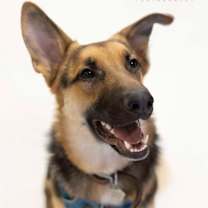 Thumbnail photo of Bunker #2