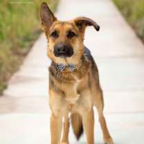 Thumbnail photo of Bunker #4