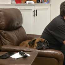 Thumbnail photo of Rex #4