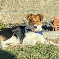 Thumbnail photo of Sagemoor #3