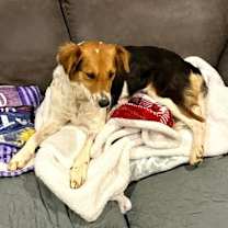 Thumbnail photo of Sagemoor #4