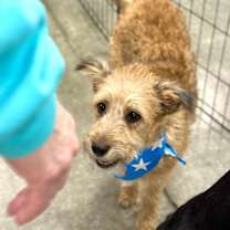 Thumbnail photo of Bahn Mi #2