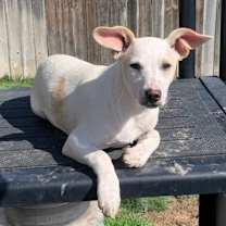 Thumbnail photo of Clarice #4