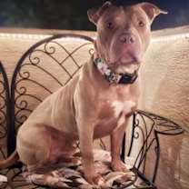 Thumbnail photo of Tex #1