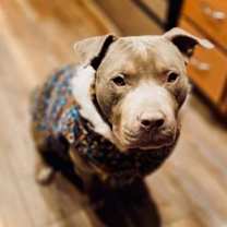 Thumbnail photo of Tex #2