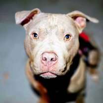 Thumbnail photo of Tex #3