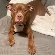 Thumbnail photo of Van Haagar #1