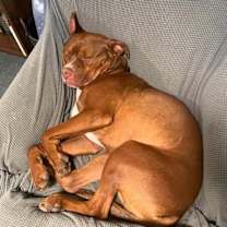 Thumbnail photo of Van Haagar #3