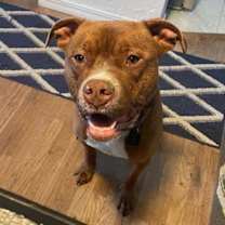 Thumbnail photo of Van Haagar #4