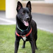 Thumbnail photo of Bear #4