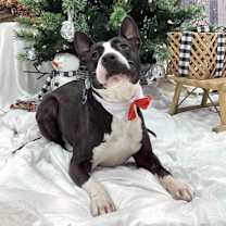 Thumbnail photo of Baby Girl Gloria #1