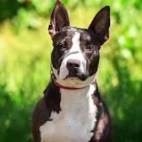 Thumbnail photo of Baby Girl Gloria #2