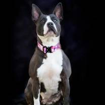 Thumbnail photo of Baby Girl Gloria #3