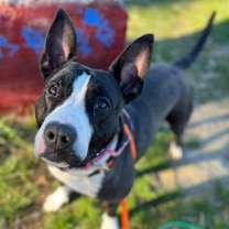 Thumbnail photo of Baby Girl Gloria #4