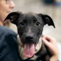 Thumbnail photo of Ocean Spray #1