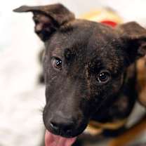 Thumbnail photo of Ocean Spray #2