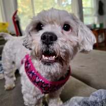 Thumbnail photo of Monte Scarlatto #4