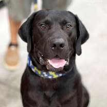 Thumbnail photo of Ruger #3