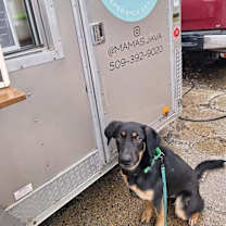 Thumbnail photo of Pepper #1