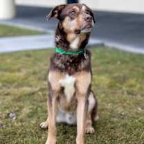 Thumbnail photo of Keaton #1