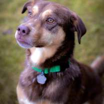 Thumbnail photo of Keaton #2