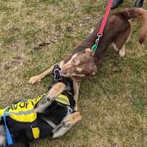 Thumbnail photo of Keaton #4