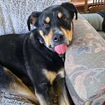 Thumbnail photo of Awarra #2