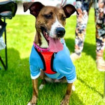 Thumbnail photo of Salem #3