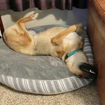 Thumbnail photo of Sonne #1