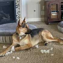 Thumbnail photo of Sonne #2