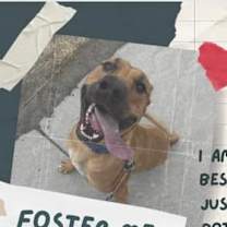 Thumbnail photo of Bart #4