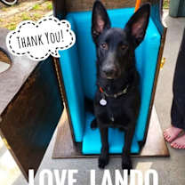 Thumbnail photo of Lando #2