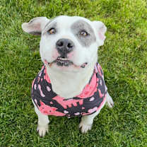 Thumbnail photo of Betty Sue #3