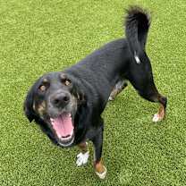 Thumbnail photo of Tumbes #4