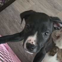 Thumbnail photo of Chance #2