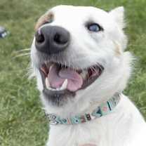 Thumbnail photo of Aria #2