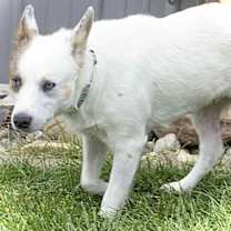 Thumbnail photo of Aria #3