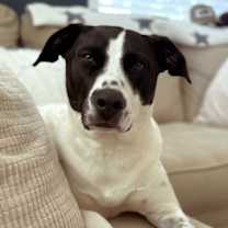 Thumbnail photo of Luna #1