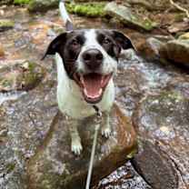 Thumbnail photo of Luna #3