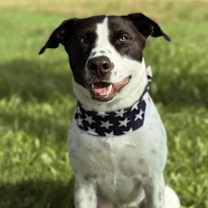 Thumbnail photo of Luna #4