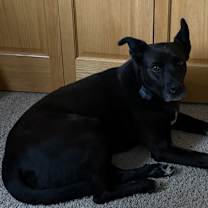 Thumbnail photo of Anabelle #2